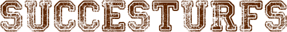 succesturfs
